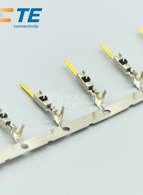 1903113-2 TYCO泰科TE安普AMP连接器 接插件端子插针 原装现货