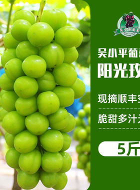 吴小平阳光玫瑰特级晴王葡萄