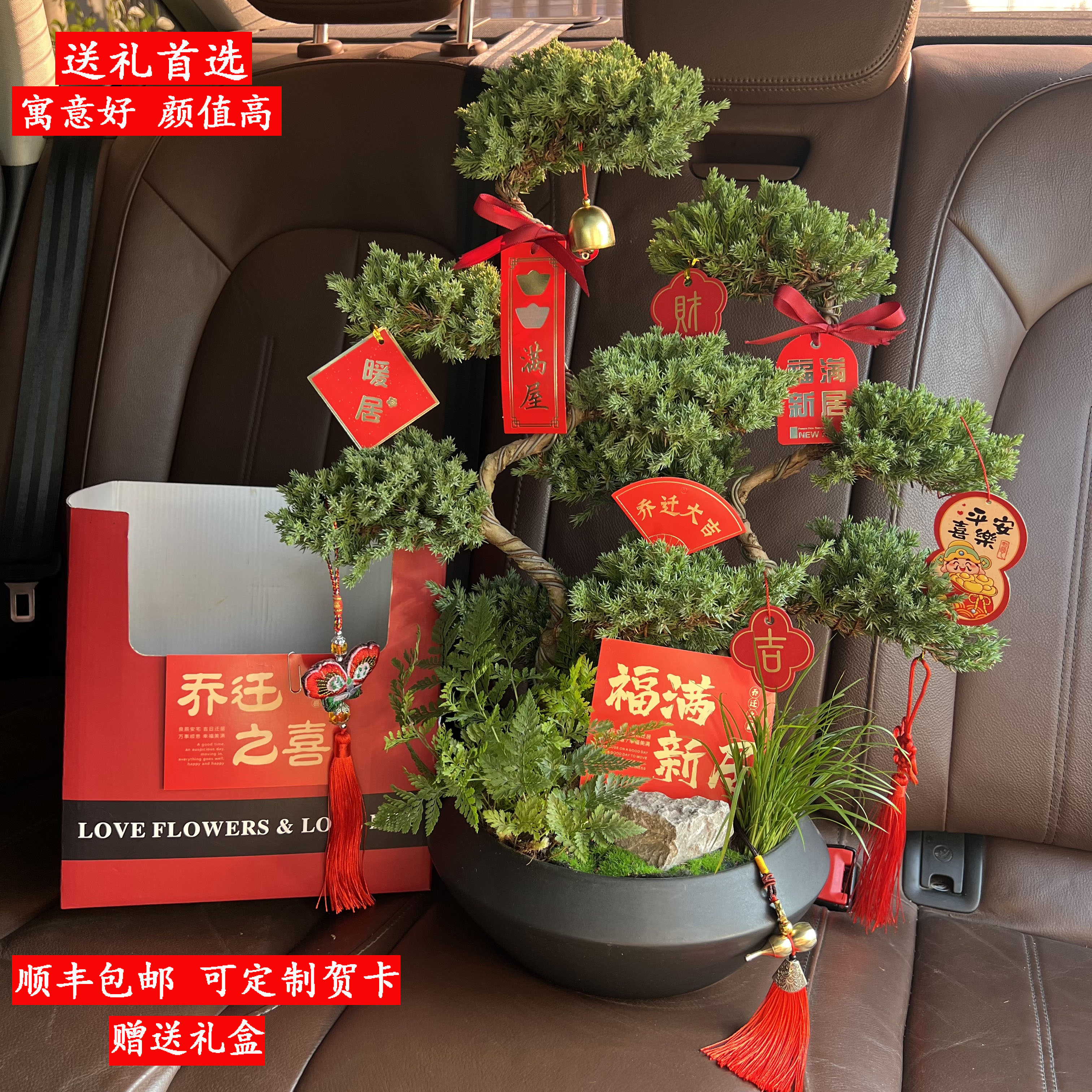 五层塔松盆景青松绿植祝寿礼送长辈开业乔迁送礼送老师生日退休