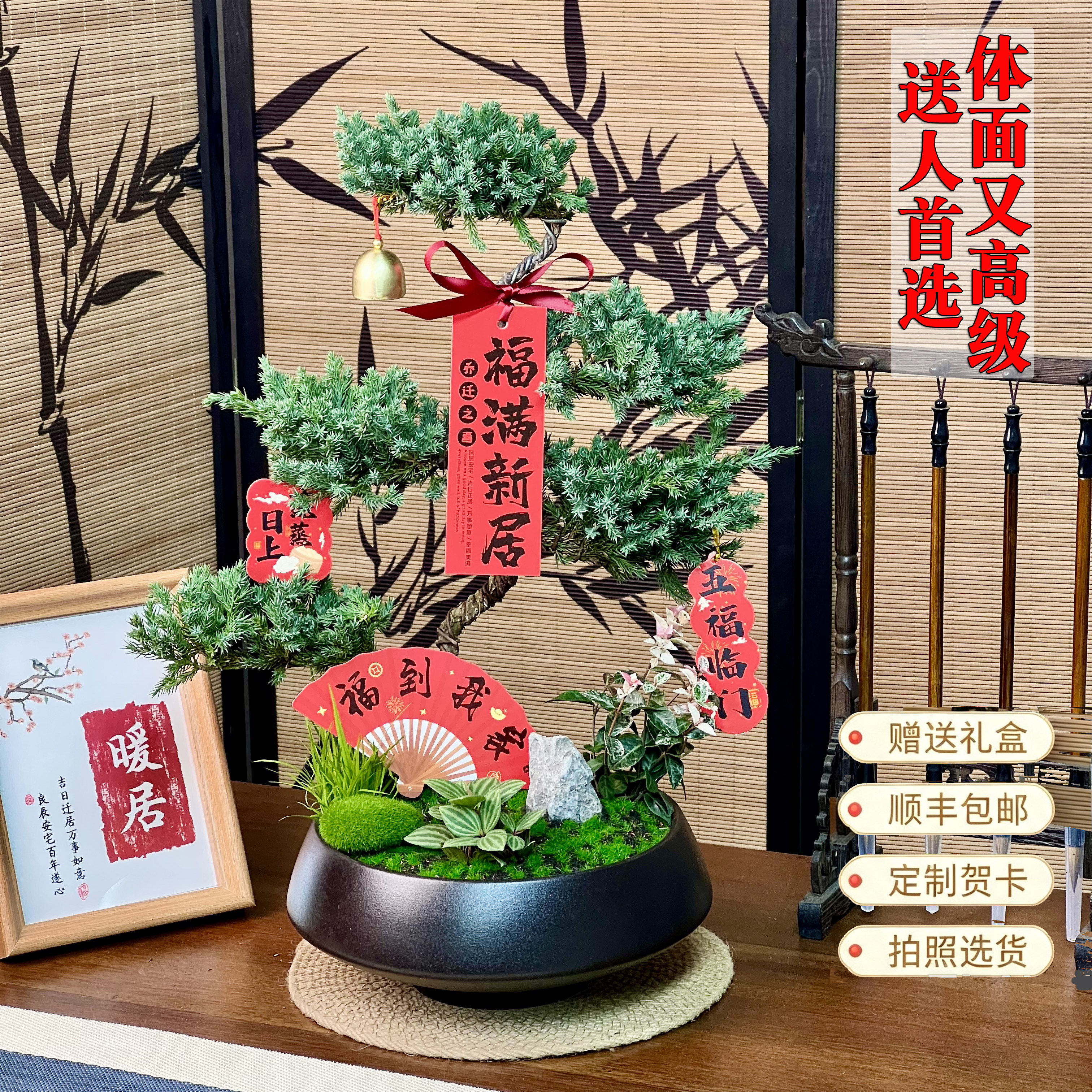 五层塔松盆栽送老师乔迁开业祝寿