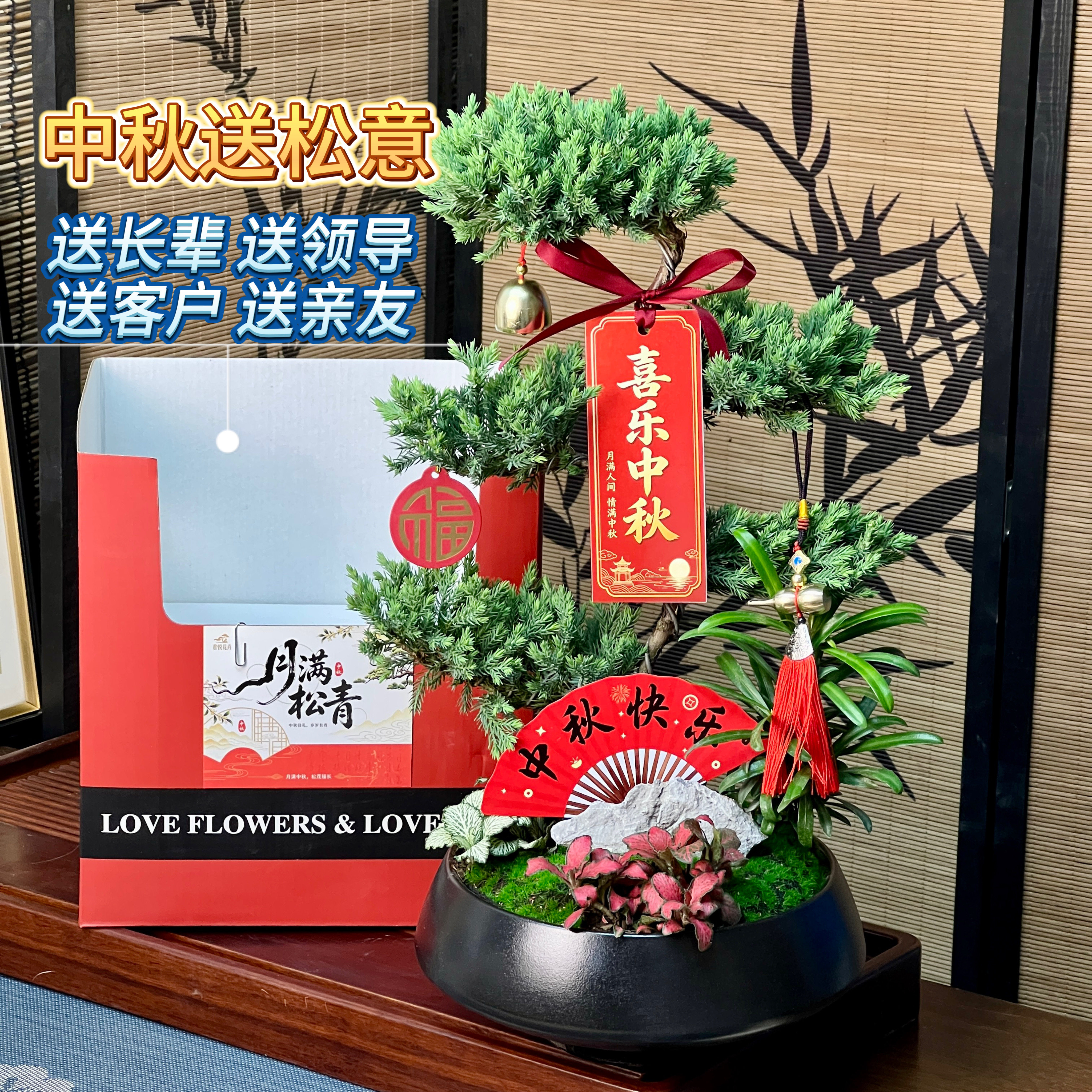 五层塔松高档盆栽送领导乔迁礼