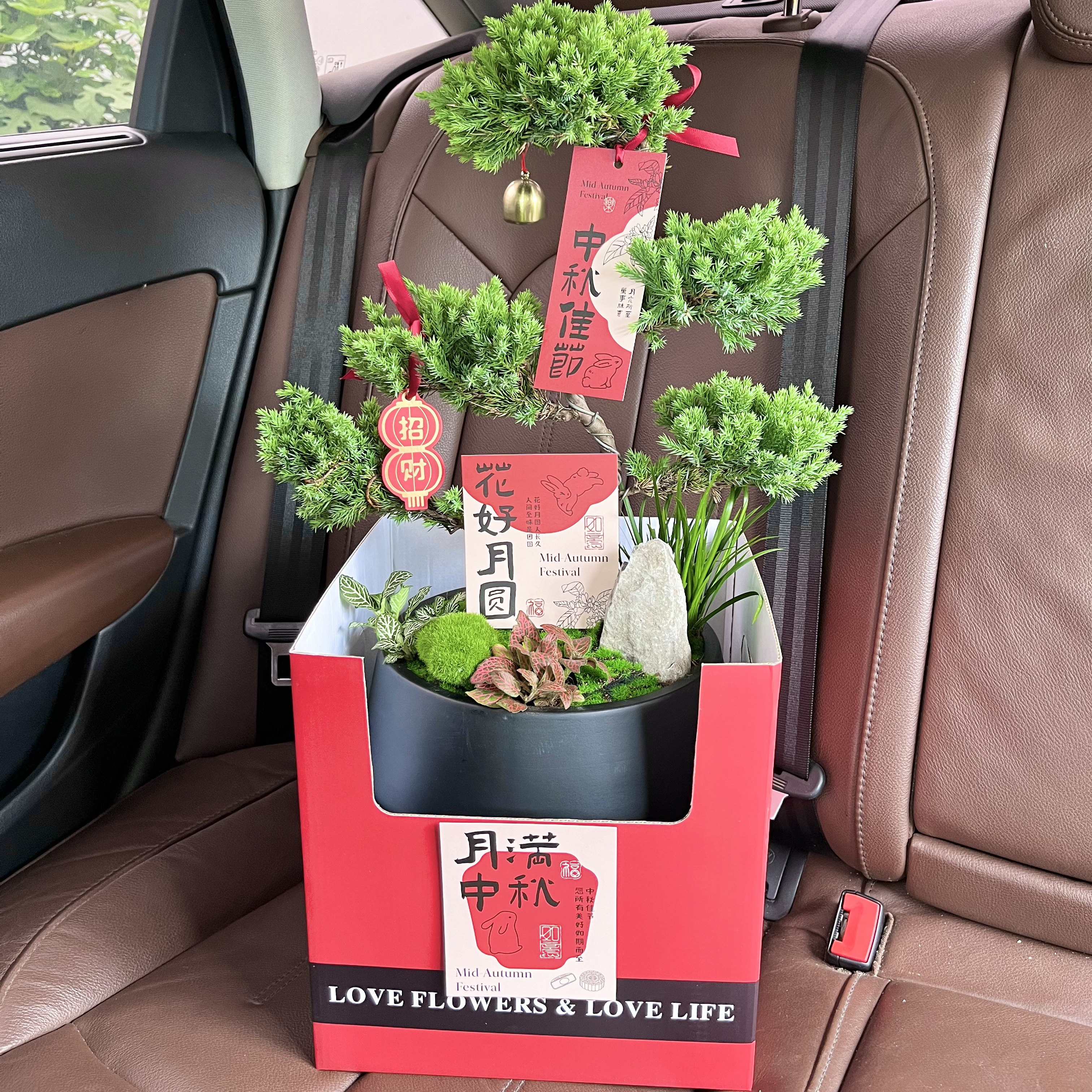 顺丰包邮五层塔松高档盆景新年礼祝寿送长辈送领导老师开业乔迁礼,鲜花速递/花卉仿真/绿植园艺,造型盆景,淘宝优惠券,粉丝福利购,淘宝优惠卷