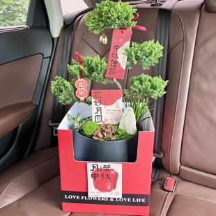 顺丰包邮五层塔松高档盆景新年礼祝寿送长辈送领导老师开业乔迁礼