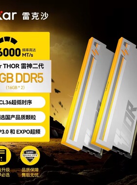 雷克沙内存条ddr5 16g×2 6000C36 32g套条雷神之刃RGB灯条台式机