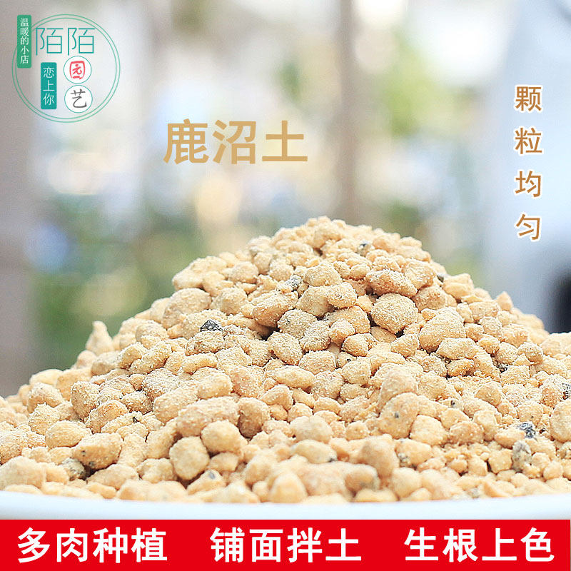 日本进口鹿沼土3-6营养赤玉土多肉园艺土绿植盆栽种植铺面颗粒土,鲜花速递/花卉仿真/绿植园艺,介质/营养土,淘宝优惠券,粉丝福利购,淘宝优惠卷