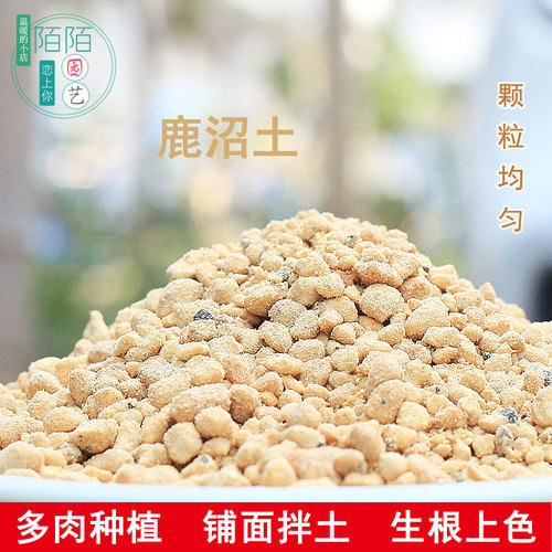 日本进口多肉绿植盆栽赤玉土