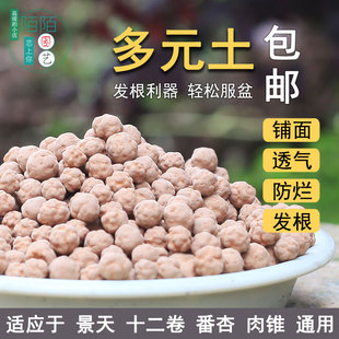 陌陌园艺多元土纯颗粒多肉专用土营养土铺面陶粒发根活力拌土包邮