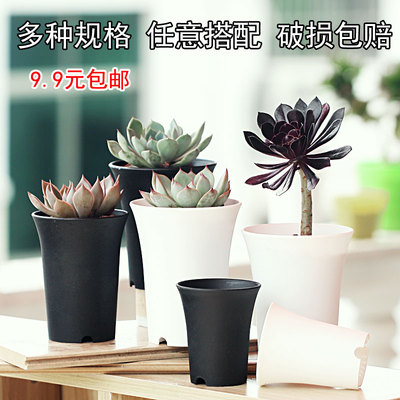 圆形高万象盆加厚塑料雨露焖养