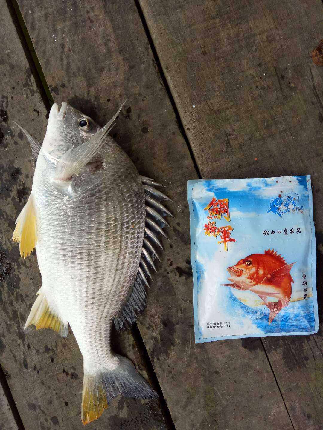 将军黄油乌头海河江咸淡水鱼饵