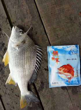 将军黄油乌头海河江咸淡水鱼饵