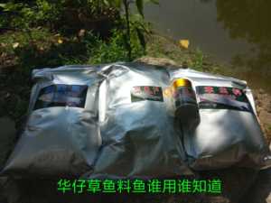华仔草鱼料116A颗粒钓饵钓料草鱼香精草鱼散炮王 黑坑竞技比赛
