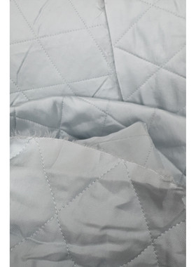 JIS T1. VI - T2.PL韩缝面料浅蓝色棉服布料宽140CM意大利