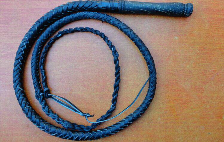 Article sports equestres - Ref 1381257 Image 4