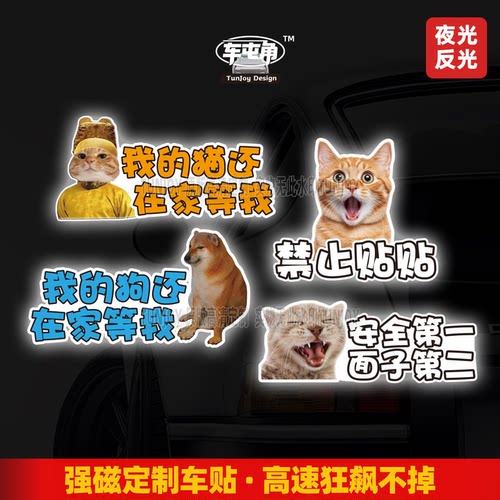 夜光宠物女司机文字夜光反光车贴