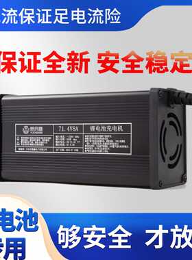 锂电池高压电芯专用48V60V72V5A8A10A12A15A大功率4.35智能充电器