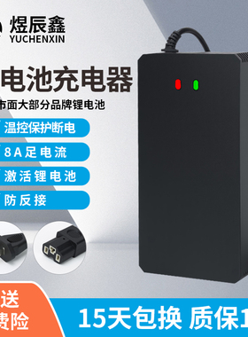 锂电池12v24v48v60v72v三元铁锂充满自停5A6A8A大功率智能充电器