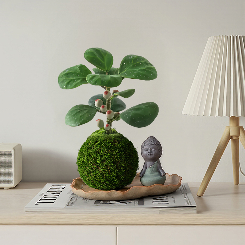 小盼菩提苔藓球盆栽带果绿植