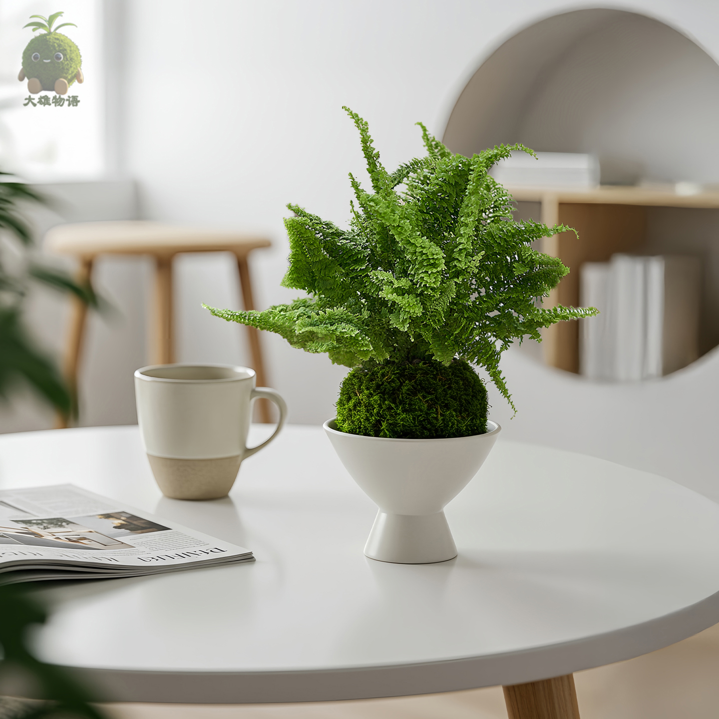 棉花糖蕨苔藓球好养网红绿植