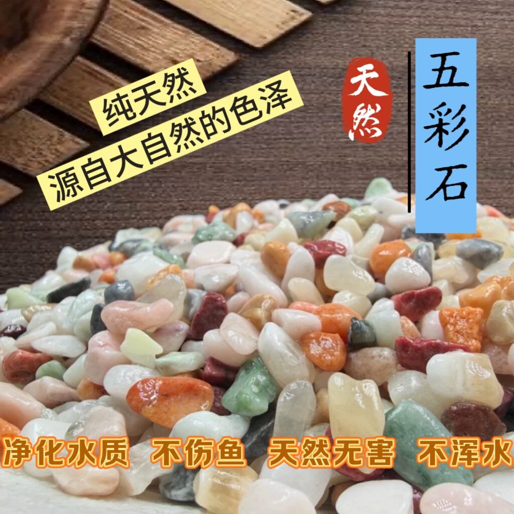 天然五彩石水草造景底沙水族箱铺底龟缸装饰多肉绿植铺面彩玉石子