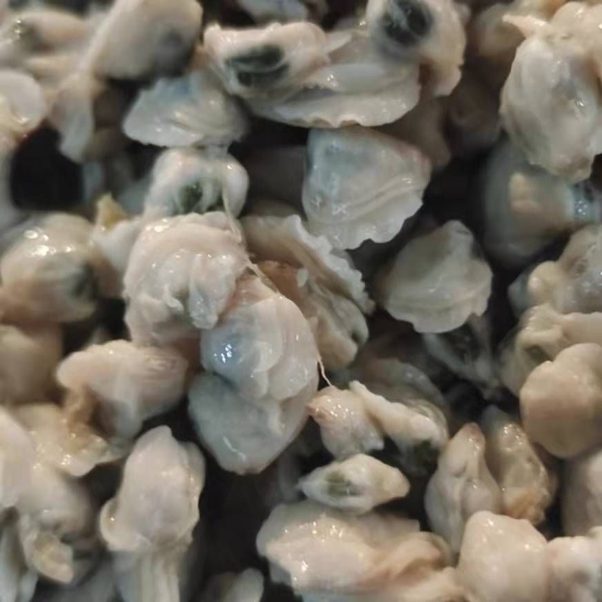 苏北特产新鲜散装小蚬肉去壳小蚬肉家乡连云港河蚬咸蚬肉年货