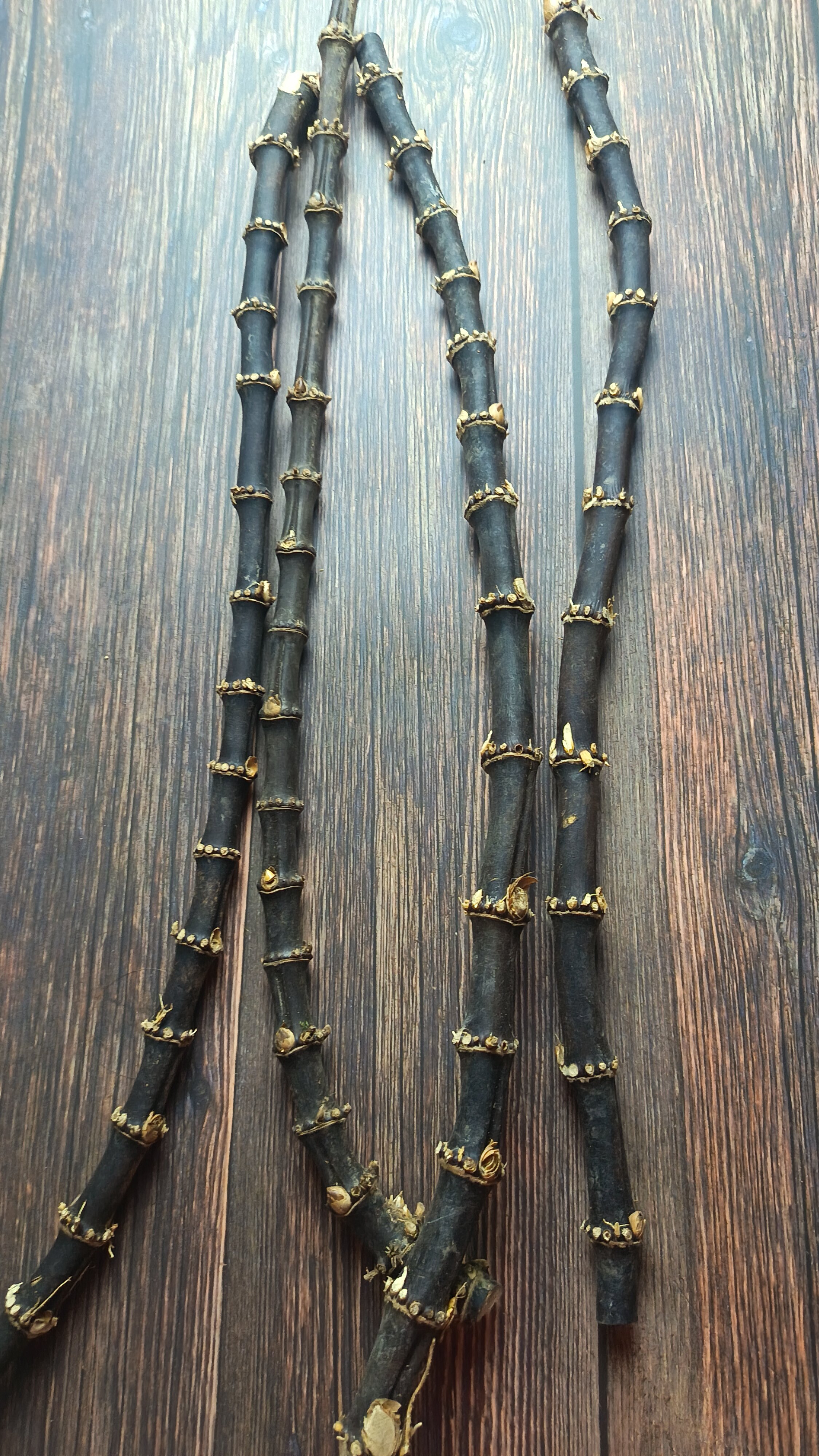 紫竹鞭实心紫竹根DIY耗材竹节烟斗柄原材料原料大直径1.0-1.3厘米