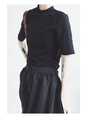 ANN and SAM原创纯色暗黑中袖百搭小高领修身T恤 2024新品春夏