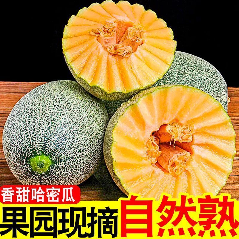 农家正宗哈密瓜9斤应季新鲜水果甜瓜整箱包邮哈密瓜西州蜜瓜5大果