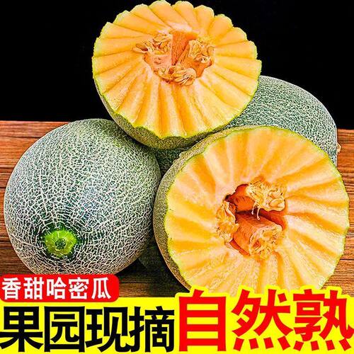 哈密瓜新鲜水果甜瓜整箱包邮