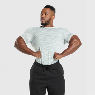 正品现货 Gymshark Geo Animal Seamless 斑马迷彩无缝短袖t恤
