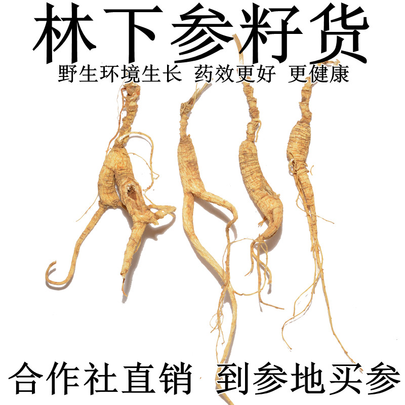 林下参籽货微残 山参残肢枝支 人参山参残参 可打粉