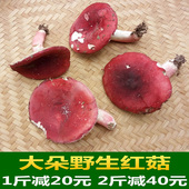 福建三明正宗深山农家野生红菇新鲜大朵孕妇月子干货特产250g 包邮