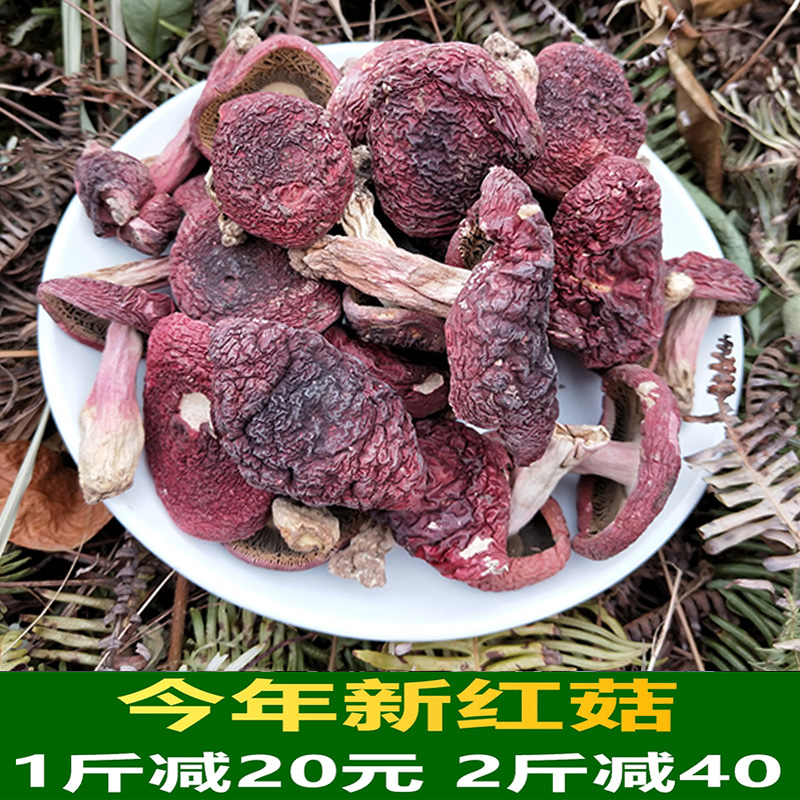 福建客家人正宗深山农家野生红菇干货月子中朵红菇250g包邮