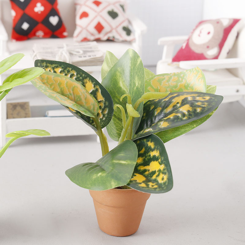 里左拉微缩植物盆栽玩具