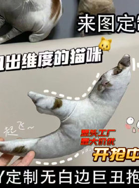 巨丑无边抱枕diy定制丑猫异形照片定做来图仿真宠物枕头猫咪靠枕