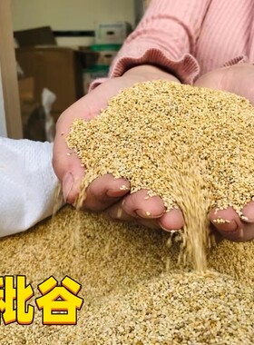 谷壳新秕谷瘪谷子糠壳谷糠小米壳婴儿童成人谷秕子枕芯填充物枕头