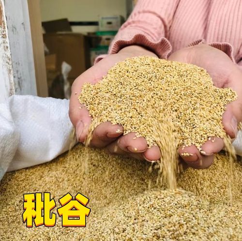 免洗秕谷枕头填充物枕芯