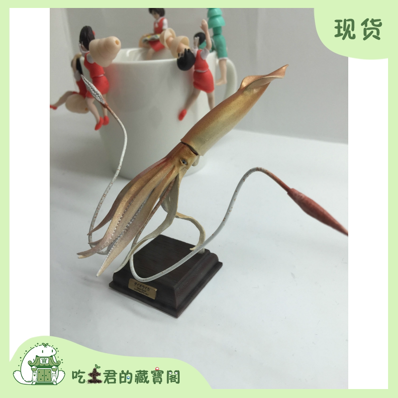 奇谭俱乐部 超限定 大王乌贼 扭蛋 摆件 深海生物 模型