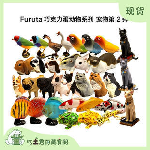 F2C 巧克力蛋 拼裝 模型 第二彈 動物 寵物2 Furuta 海洋堂 日本