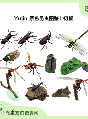 日本Yujin原色昆虫图鉴1扭蛋初版立体百科事典仿真模型绝版摆件