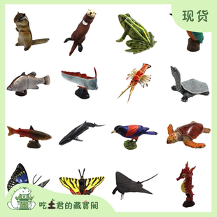 拼裝 海洋堂furuta第1 模型擺 動物絕版 Q日本 3彈巧克力蛋choco