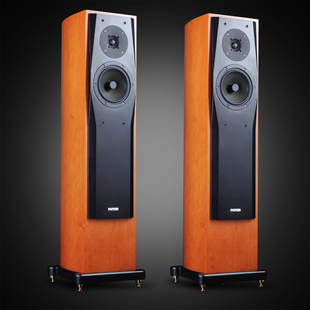 PAIYON派扬P728发烧hifi高保真落地主音箱高保真家庭影院ETON旗舰
