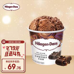哈根达斯（HaagenDazs）冰淇淋比利时巧克力口味大杯473ml京东