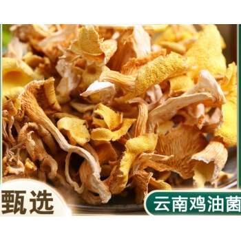 粮老汉野生菌鸡油菌干货黄丝菌云南土特产榆黄磨特级黄香菇煲汤50