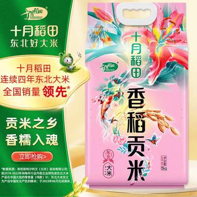 十月稻田香稻贡米东北大米5kg香米粳米5公斤果肉条桶装中国大陆