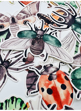 手帐贴纸包 Microcosmos昆虫：微观世界 27枚 手账贴纸 25元包邮