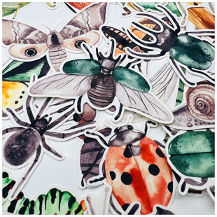 手帐贴纸包 Microcosmos昆虫：微观世界 27枚 手账贴纸 25元包邮