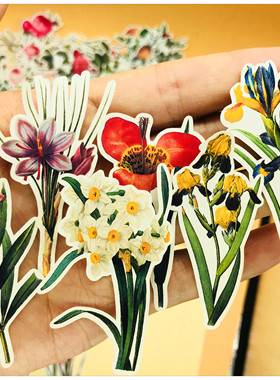 手帐贴纸包  TN复古植物花朵 160枚入 手账贴纸相册装饰 包邮