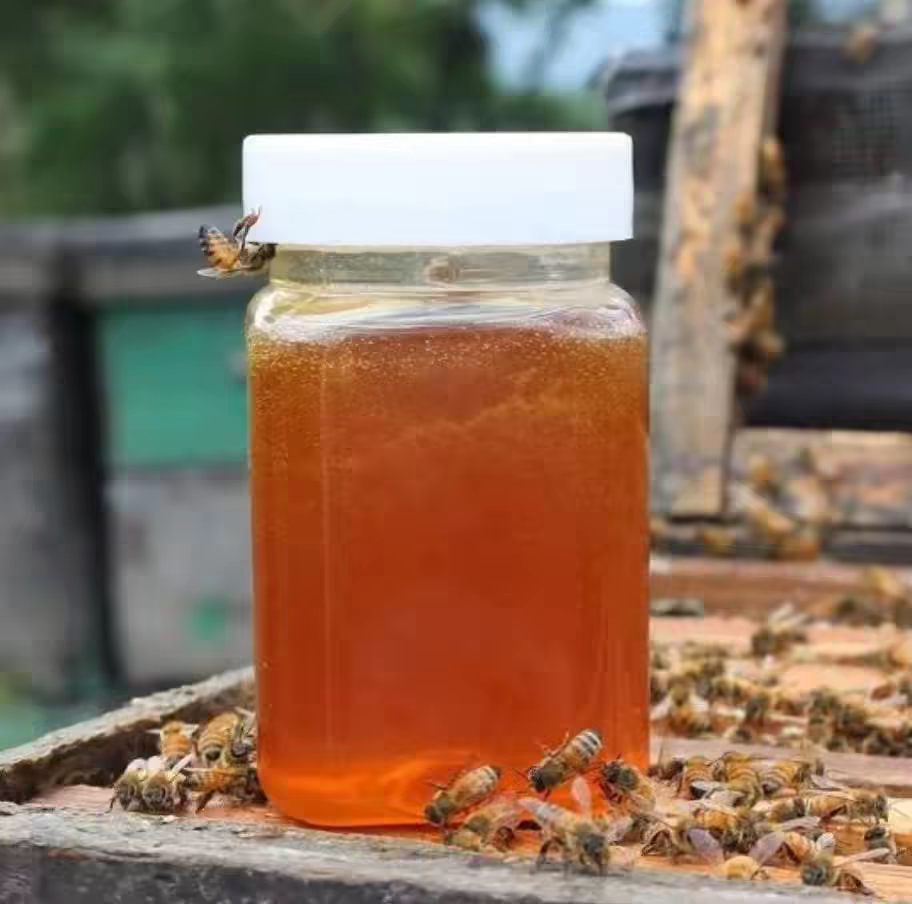 酸枣蜂蜜成熟酸枣蜂蜜农家自产自销蜂场直发酸枣蜂蜜