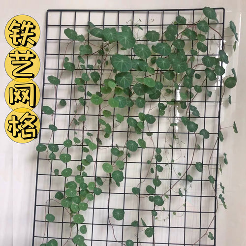 山乌龟爬藤架铁艺花架网格