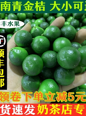 正宗海南新鲜小金桔5斤青金桔小青桔小柠檬酸奶茶专用整件包邮
